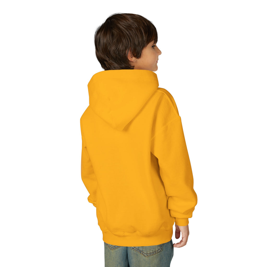 Be Kind Youth Hoodie -Pullover